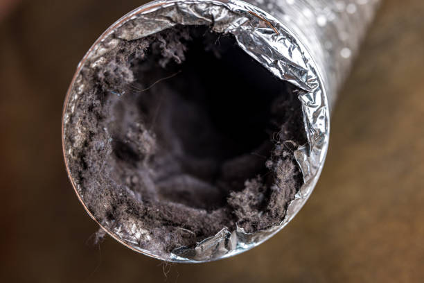 Best Professional Duct Cleaning Services  in Eddyville, KY